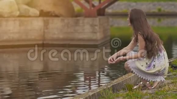 美丽的年轻女孩穿着夏装长发喂养鸟类附近的城市池塘公园娱乐夏天视频的预览图