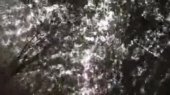 录像片段在阳光明媚的乡村穿过隧道树视频的预览图