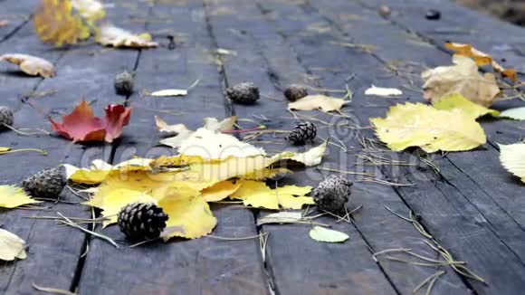 在旧木地板上有倒下的松果秋天的黄叶枫和橡树风吹落树叶秋叶视频的预览图