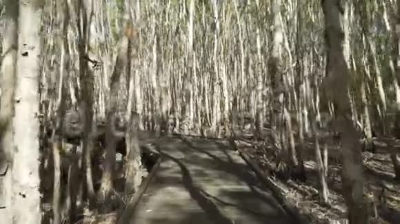 走在麦凯的沼泽木板路上哭泣的平装书澳大利亚视频的预览图