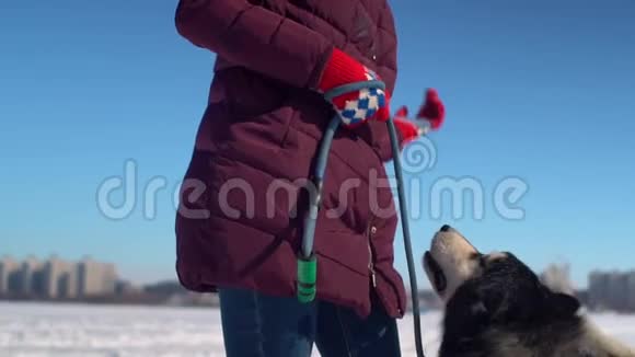 有魅力的快乐女孩和她的哈士奇狗在冰冻的河流中玩耍背景是城市景观视频的预览图