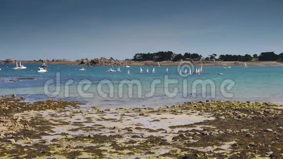 布兰科港的海滩和帆船法国布雷特视频的预览图
