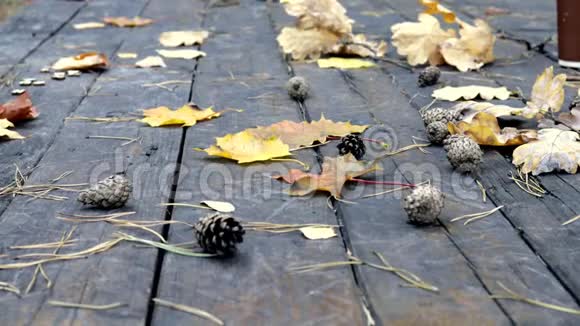 在旧木地板上有倒下的松果秋天的黄叶枫和橡树风吹落树叶秋叶视频的预览图
