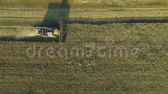 空中无人机镜头顶部景观结合收割机收集小麦收割粮田美丽的自然空中视频的预览图