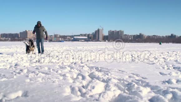 哈士奇狗和一个留着胡子的奇怪的嬉皮士在大雪中慢慢地朝镜头跑去视频的预览图