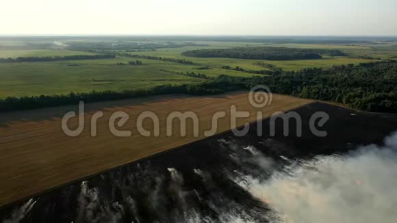 从无人机农民燃烧干草的空中景观野外鸟瞰火灾秋天田野上的火视频的预览图