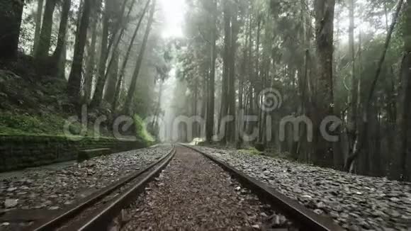沿着阿里山风景区森林中被忽视的老铁路走着雾雾和雾台湾的视角视频的预览图