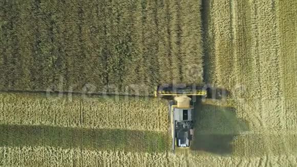 空中无人机镜头顶部景观结合收割机收集小麦收割粮田美丽的自然空中视频的预览图