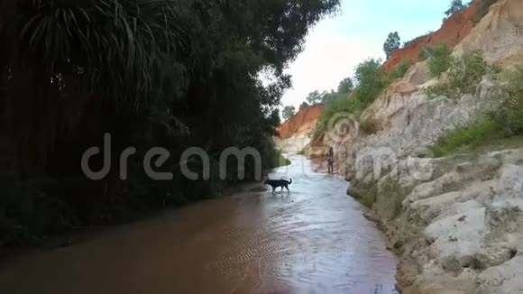 大狗横过浅小溪女走路视频的预览图