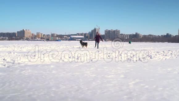 有趣的慢动作哈士奇狗和年轻的时髦女人跑过大雪走向相机视频的预览图