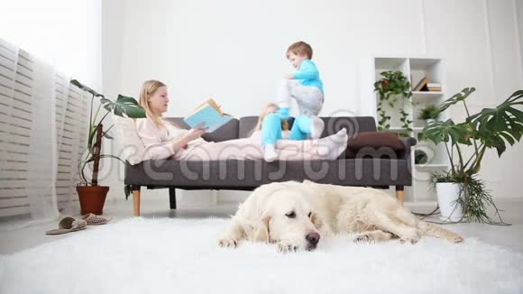 家庭宠物的生活妈妈给孩子们读这本书金毛猎犬躺在地上视频的预览图
