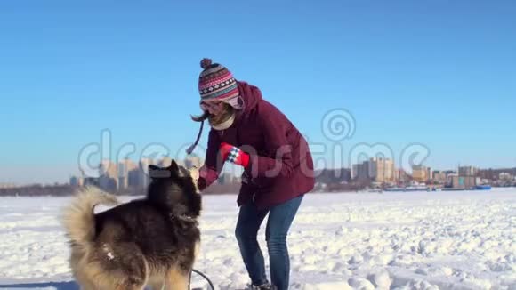 在城市风景的背景下美丽的年轻女子在冰冻的河流上与她的哈士奇狗玩耍视频的预览图