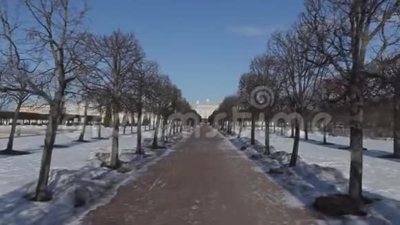 早春在彼得霍夫公园散步视频的预览图