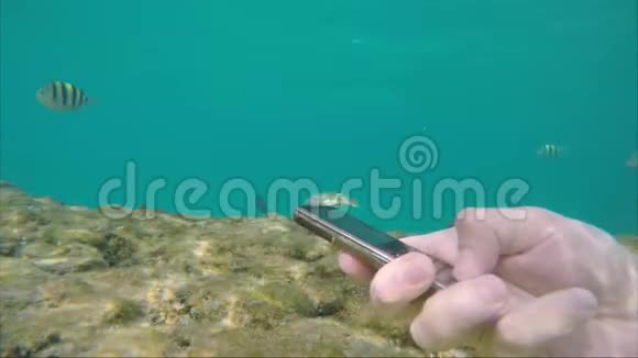 一个人水底下拿着电话绕着海鱼游泳视频的预览图