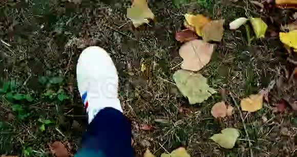 在五彩缤纷的秋天的地毯上一个穿着白色运动鞋的男人走在山顶上视频的预览图