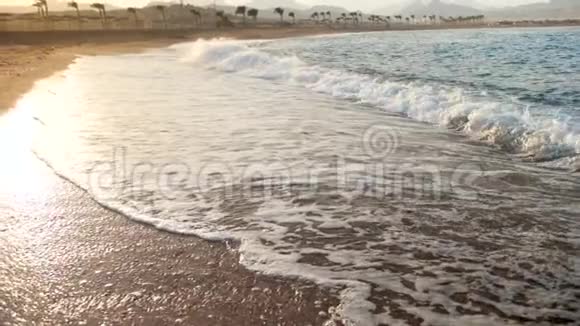 太阳光线下沙滩上巨浪的慢动作视频视频的预览图