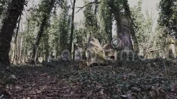 多利与玛泽瓦的犹太墓地视频的预览图