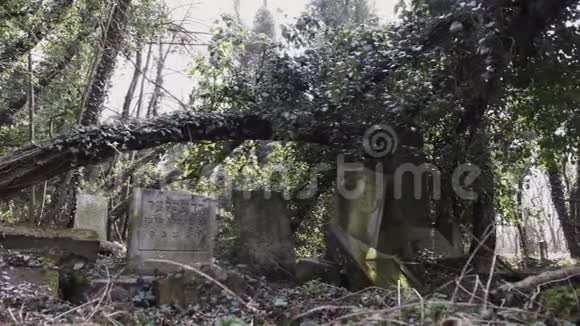 多利与玛泽瓦的犹太墓地视频的预览图