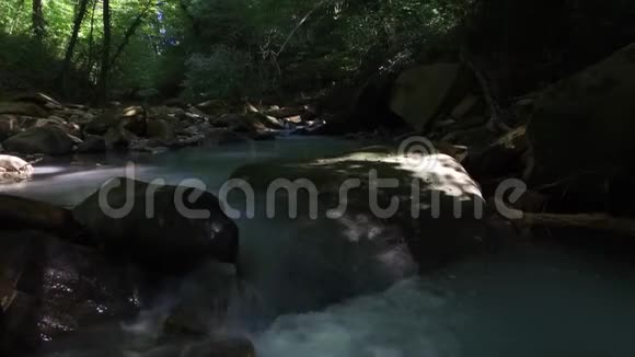 森林河流背景视频的预览图