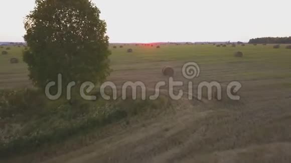 夏天的乡村田野里有一捆干草视频的预览图