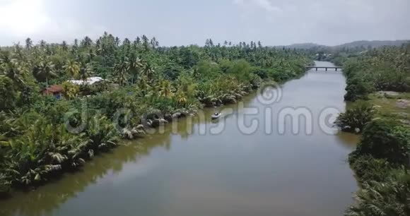 在美丽的河流上在丛林荒野和热带绿色棕榈树上无人机左转在白色的小船上方视频的预览图