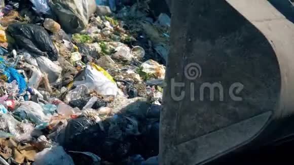 一辆推土机捡起垃圾袋关上专门的机器在垃圾场工作收集成堆的垃圾视频的预览图