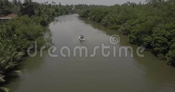 顶景无人机接近小白船巡航沿大美丽平静的丛林河与绿色棕榈树视频的预览图