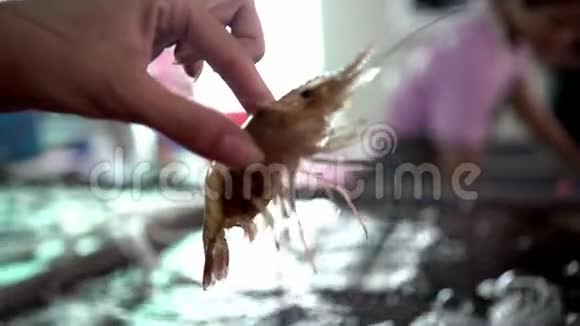 在鱼市附近手里拿着大鲜虾视频的预览图