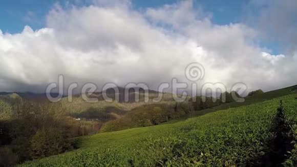 山中茶园全景在蓝天的背景下秋天视频的预览图