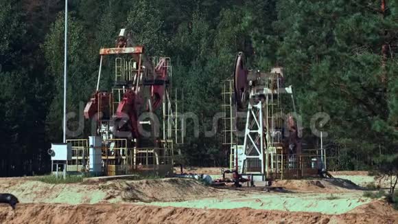 俄罗斯森林附近一口油井上的两个老南瓜视频的预览图
