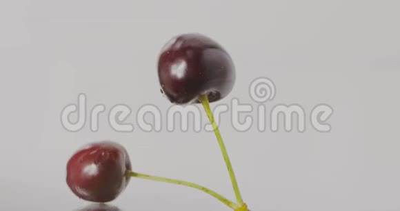 一个成熟的红色大樱桃的特写慢慢落下填满屏幕慢动作浆果背景全高清视频视频的预览图