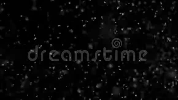 暴雪风暴大风部队雪在强边风中横向飞行无缝慢动作循环三维动画视频的预览图