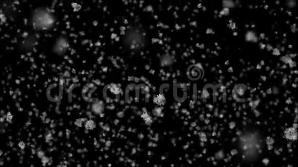 美丽的特写雪花落慢无缝与DOFBlur在黑色背景慢动作循环三维动画视频的预览图