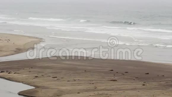 沙滩上的海浪水流入大海视频的预览图