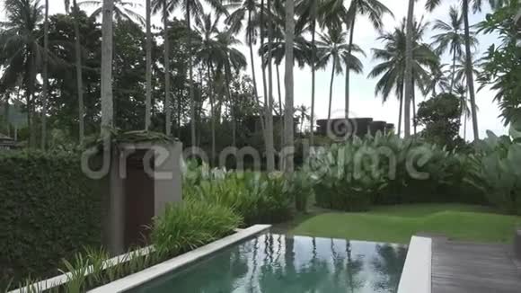 休息的象征在度假胜地鸡尾酒椰子和一顶草帽躺在池边棕榈树之间视频的预览图