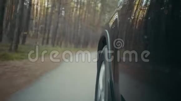 汽车行驶在秋国路上低角度拍摄视频的预览图