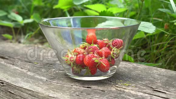在绿色背景的英国老花园里用新鲜的有机草莓将玻璃碗合上视频的预览图
