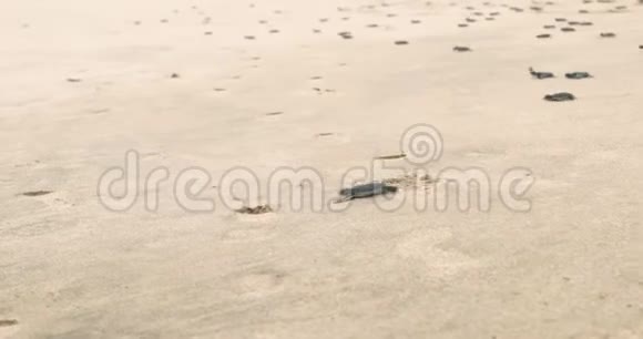 小海龟在沙滩上爬向大海视频的预览图
