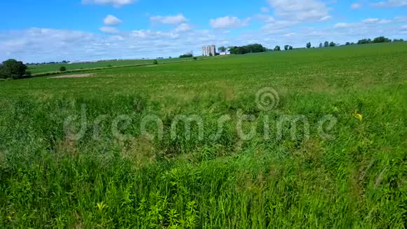 俯瞰郁郁葱葱的农村田野在农村的日子里随风吹长了草美丽的风景山水自然视频的预览图