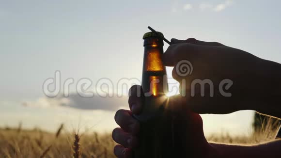 用清凉的啤酒解渴瓶子的剪影在日落时在麦场附近打开视频的预览图