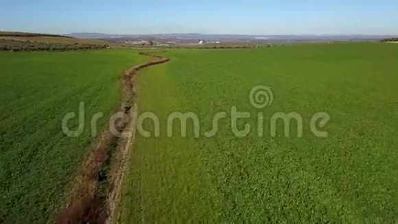 在西班牙橄榄林附近播种大麦视频的预览图
