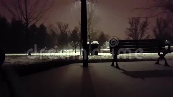 公园里的雪夜视频的预览图