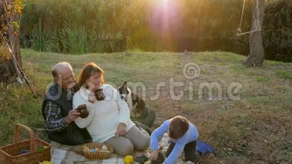 有男人的老年妇女在狗旁边喝茶孙子在户外玩刺猬日落时全家度假视频的预览图