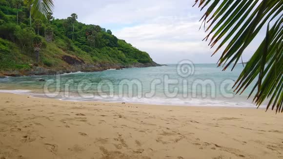 带棕榈树的热带沙滩在岛上休息和旅行视频的预览图