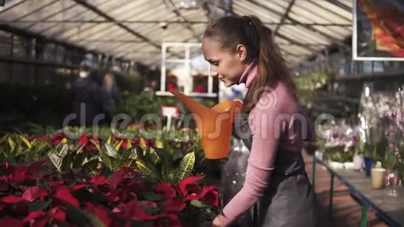 微笑着年轻的女园丁穿着制服用花园浇水罐在温室里浇一壶红葡萄酒视频的预览图