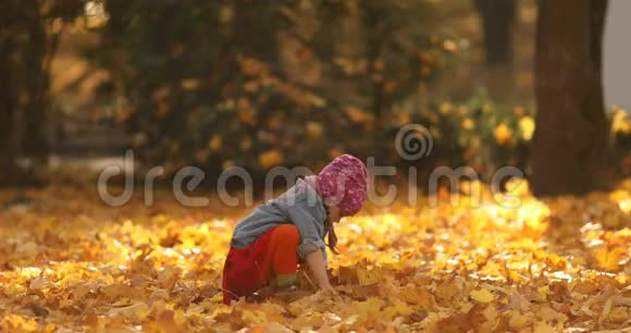 可爱的小女孩在秋天的森林里玩树叶视频的预览图
