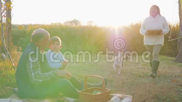 祖母在野餐时用手捧着甜点祖父带着孙子坐在狗旁边的格子呢视频的预览图