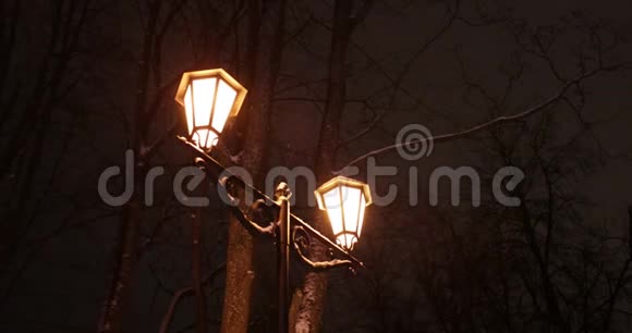 冬夜公园的路灯视频的预览图