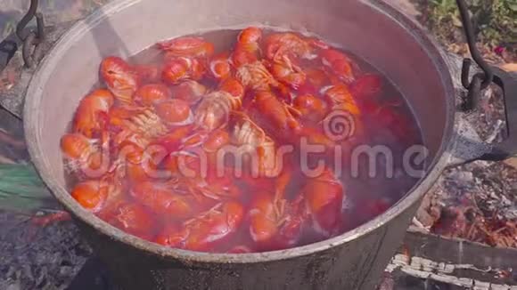 小龙虾在火刑柱上煮在露天吃午饭视频的预览图
