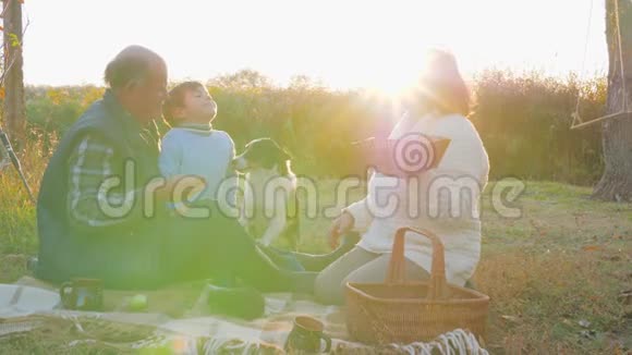 在日落的背景下野餐男孩亲吻坐在格子地上的爷爷奶奶篮子靠近狗和刺猬视频的预览图